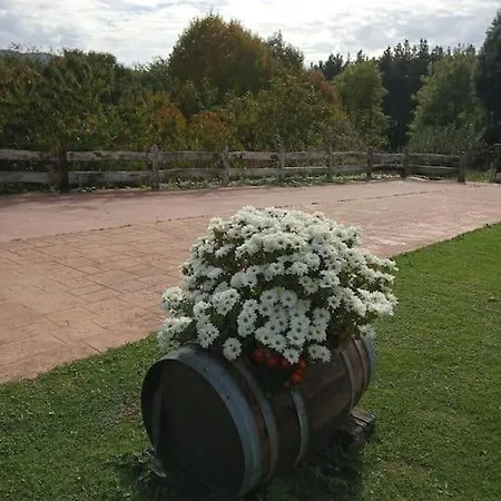 Caserio Vasco Con Piscina Y Barbacoa Holiday home Orozko